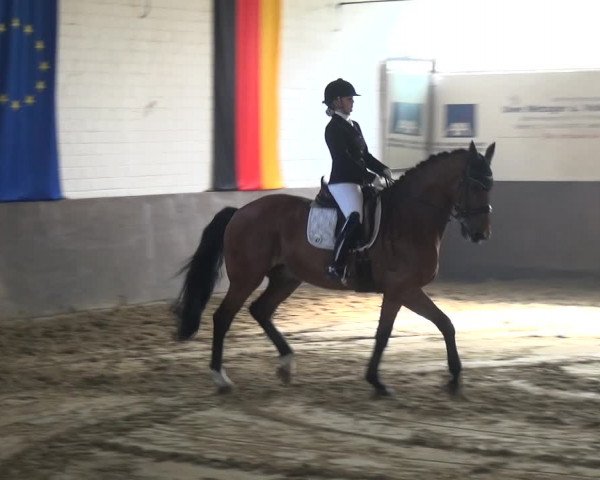 Reitturnier Jüchen-Waat 2018