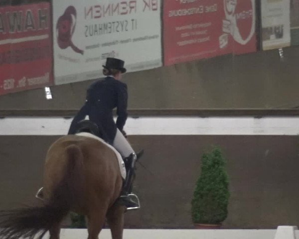 Reitturnier Jüchen-Waat 2018