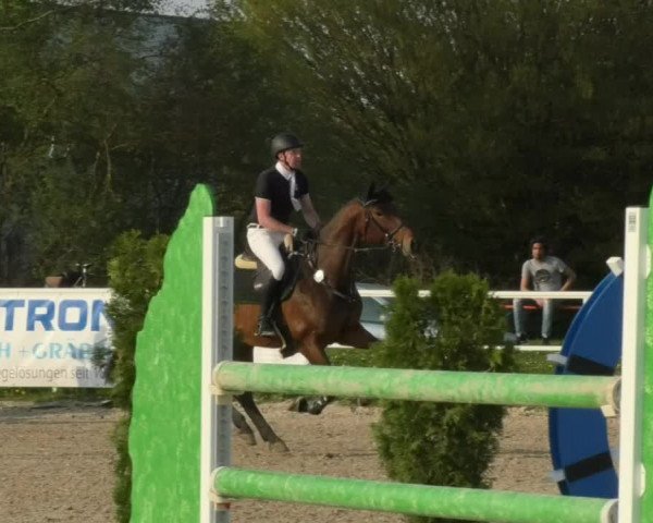 Reitturnier Langenau 2018