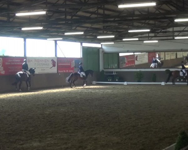 Reitturnier Jüchen-Waat 2018