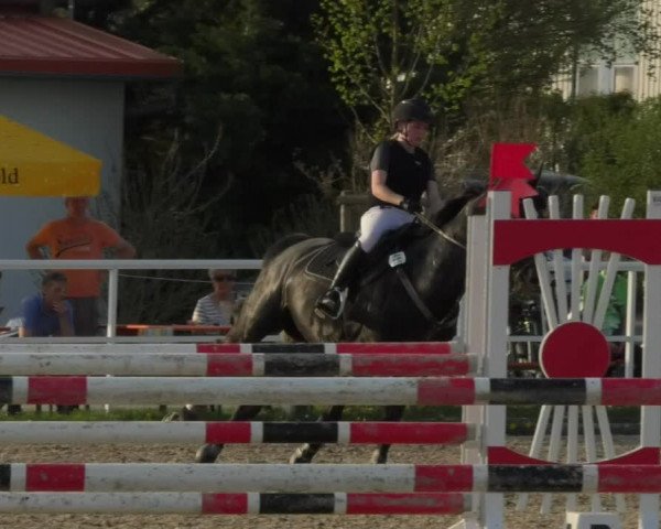 Reitturnier Langenau 2018