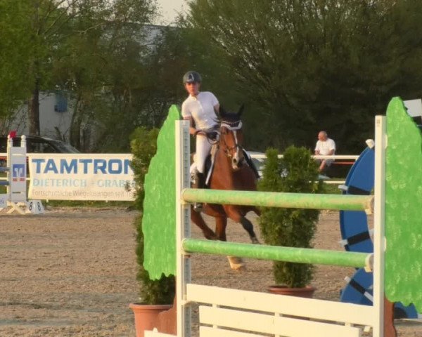 Reitturnier Langenau 2018