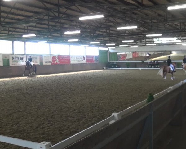 Reitturnier Jüchen-Waat 2018