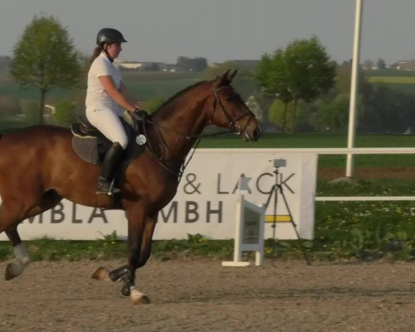 Reitturnier Langenau 2018