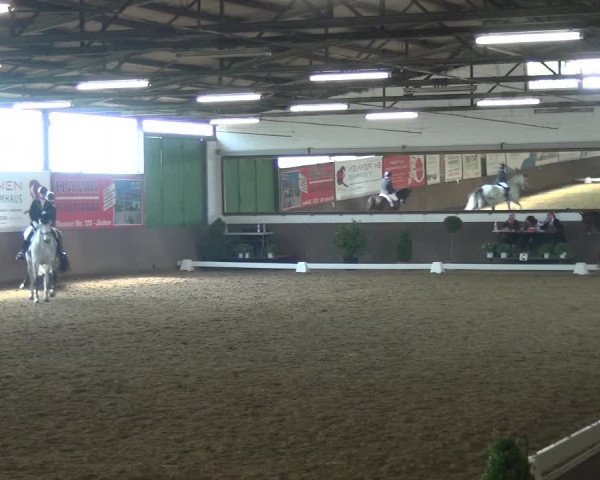 Reitturnier Jüchen-Waat 2018