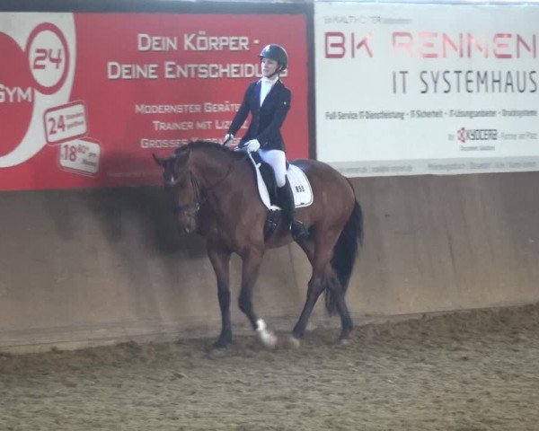 Reitturnier Jüchen-Waat 2018