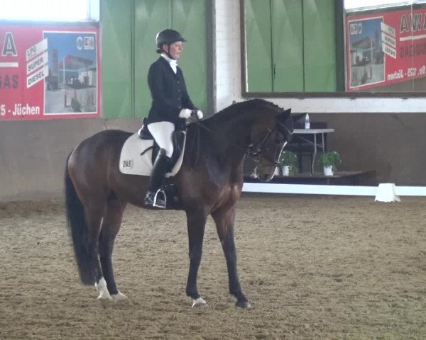 Reitturnier Jüchen-Waat 2018