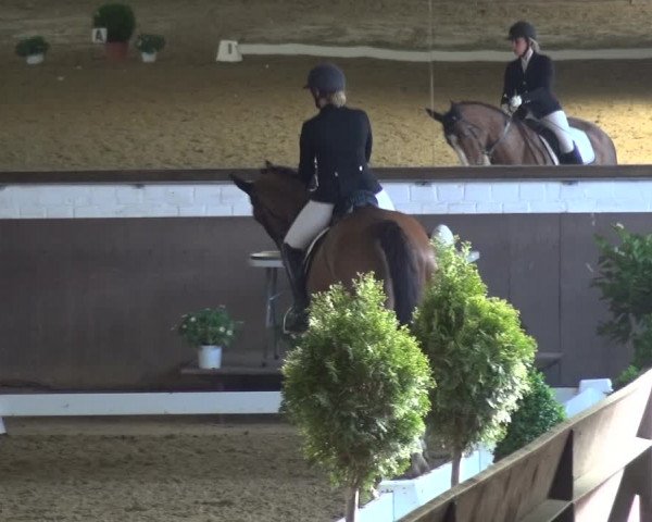 Reitturnier Jüchen-Waat 2018