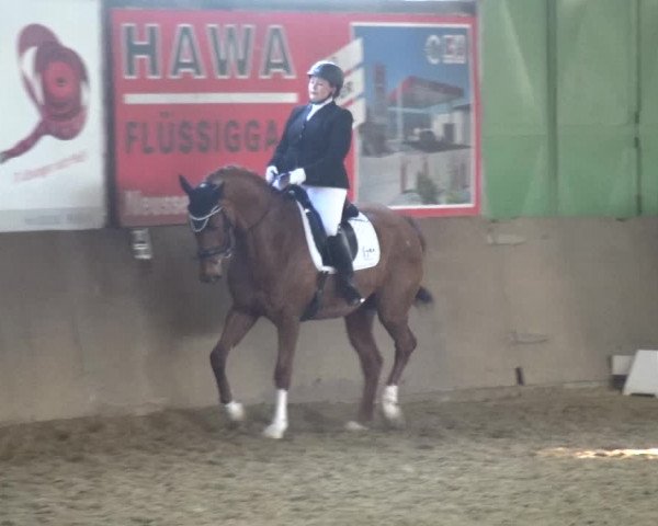 Reitturnier Jüchen-Waat 2018