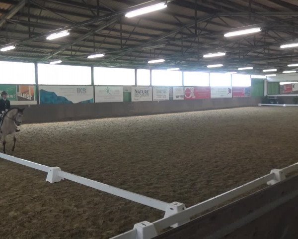 Reitturnier Jüchen-Waat 2018