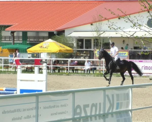 Reitturnier Langenau 2018