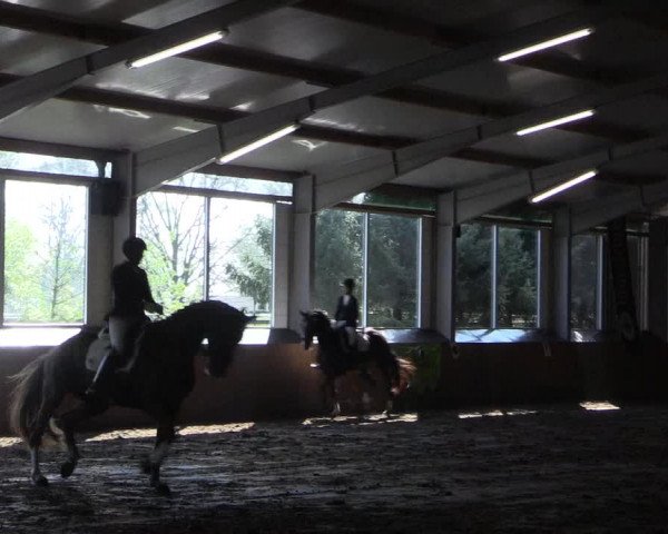 Reitturnier Dohren 2018