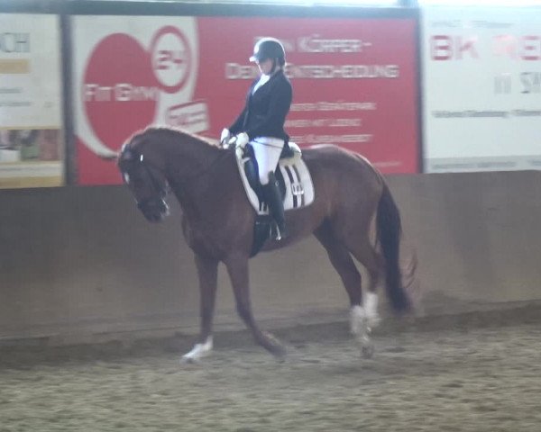 Reitturnier Jüchen-Waat 2018