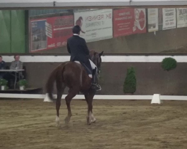 Reitturnier Jüchen-Waat 2018