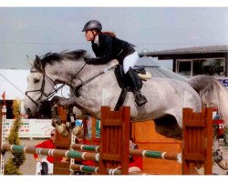 jumper Chamoer 3 (Westphalian, 2004, from Capitalist)