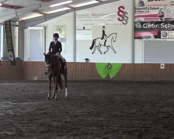 Reitturnier Dohren 2018