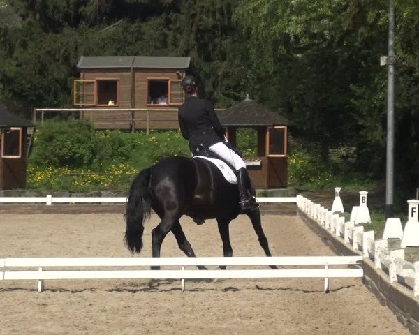 Reitturnier Mettmann - Reitanlage Löckenhoff 2018
