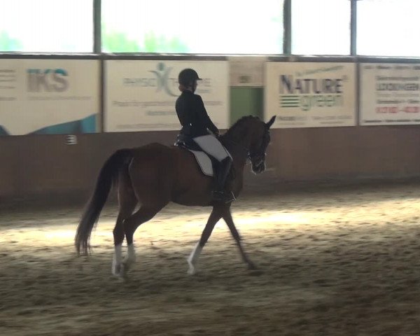 Reitturnier Jüchen-Waat 2018
