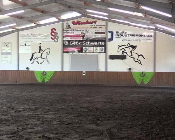 Reitturnier Dohren 2018