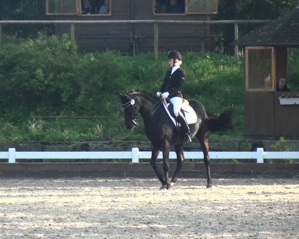 Reitturnier Mettmann - Reitanlage Löckenhoff 2018