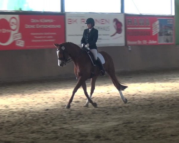 Reitturnier Jüchen-Waat 2018