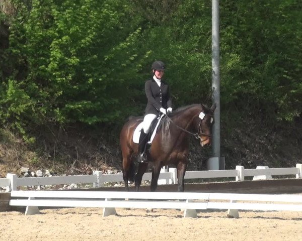 Reitturnier Mettmann - Reitanlage Löckenhoff 2018