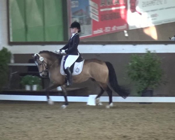 Reitturnier Jüchen-Waat 2018