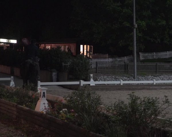 Reitturnier Mettmann - Reitanlage Löckenhoff 2018
