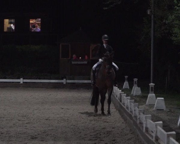 Reitturnier Mettmann - Reitanlage Löckenhoff 2018