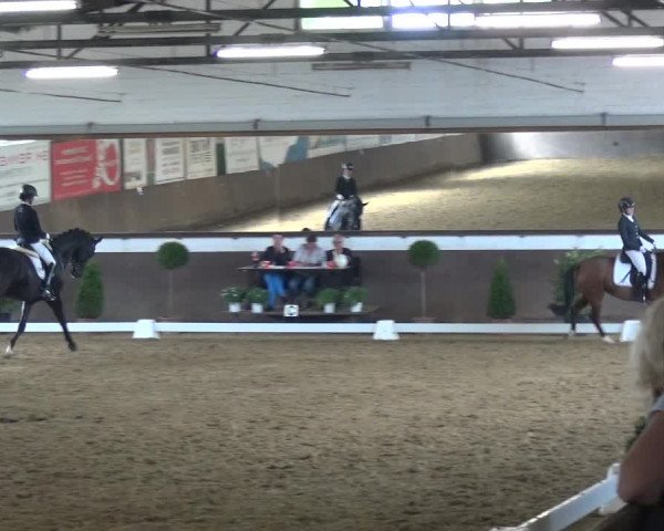 Reitturnier Jüchen-Waat 2018