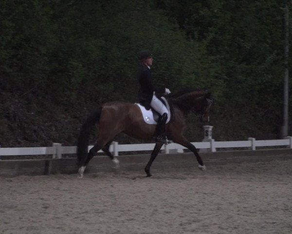 Reitturnier Mettmann - Reitanlage Löckenhoff 2018