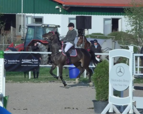 Reitturnier Langenau 2018