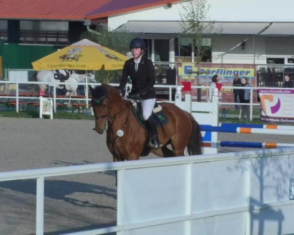 Reitturnier Langenau 2018