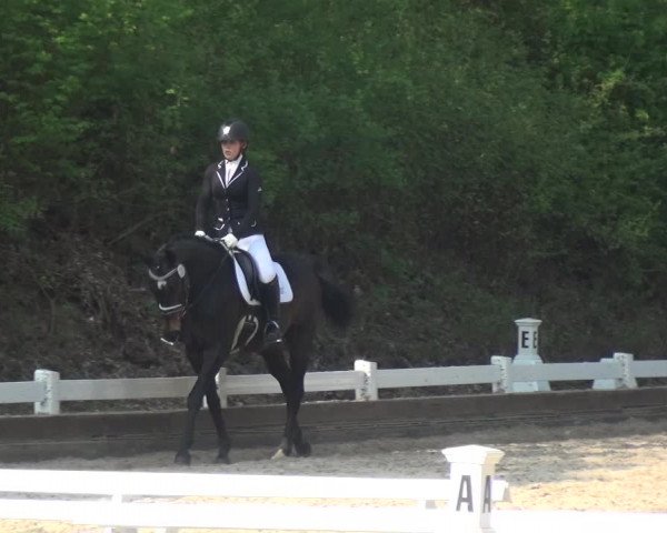 Reitturnier Mettmann - Reitanlage Löckenhoff 2018