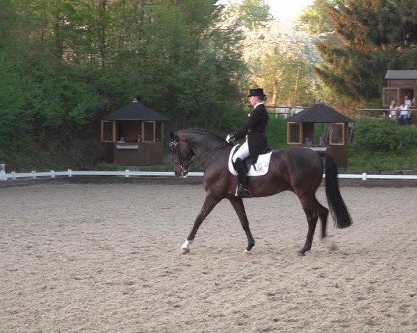 Reitturnier Mettmann - Reitanlage Löckenhoff 2018