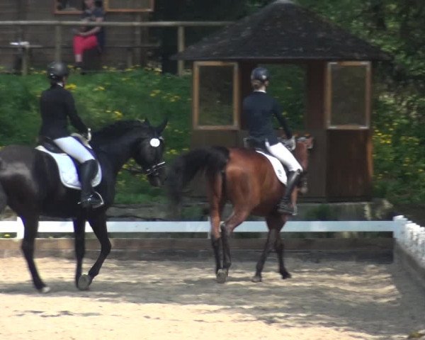 Reitturnier Mettmann - Reitanlage Löckenhoff 2018