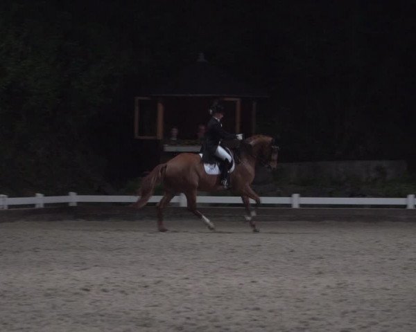 Reitturnier Mettmann - Reitanlage Löckenhoff 2018