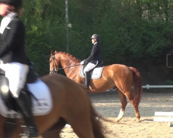 Reitturnier Mettmann - Reitanlage Löckenhoff 2018