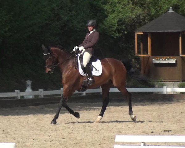 Reitturnier Mettmann - Reitanlage Löckenhoff 2018