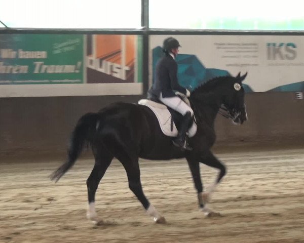 Reitturnier Jüchen-Waat 2018