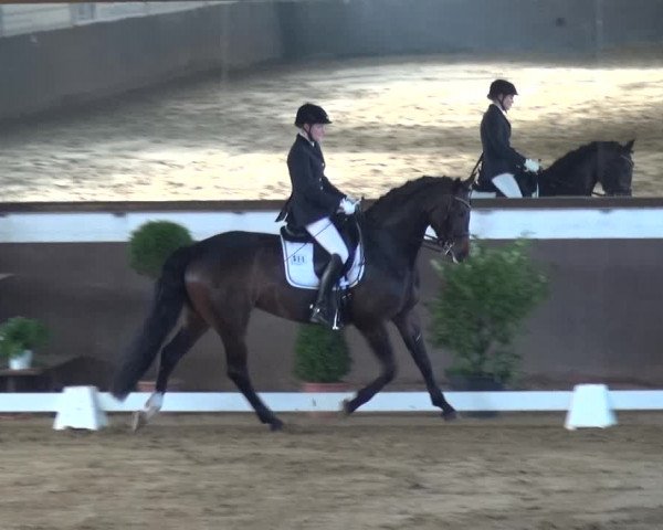 Reitturnier Jüchen-Waat 2018