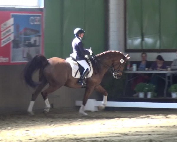 Reitturnier Jüchen-Waat 2018