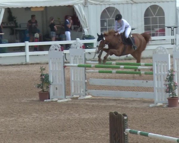 Reitturnier Kreuth 2018