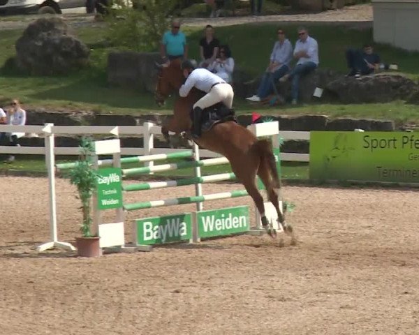 Reitturnier Kreuth 2018