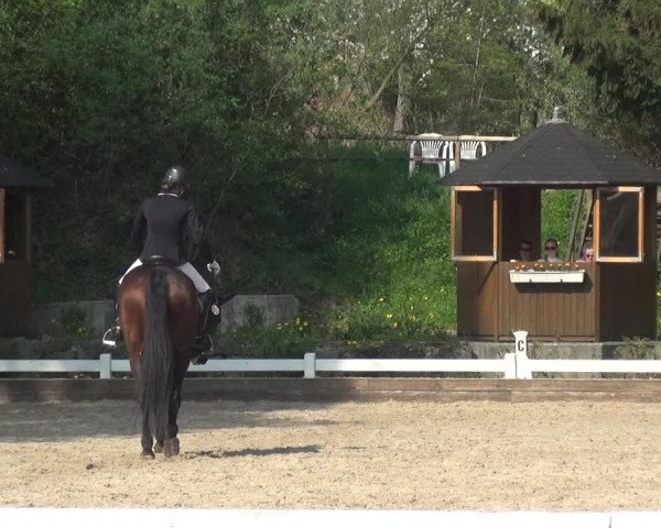 Reitturnier Mettmann - Reitanlage Löckenhoff 2018