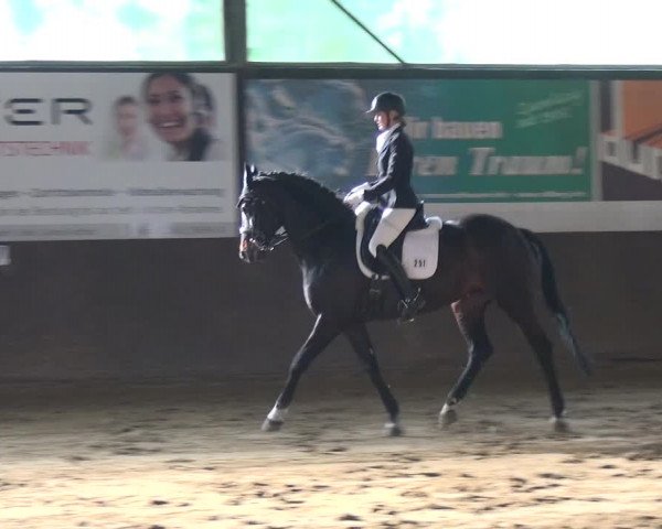 Reitturnier Jüchen-Waat 2018