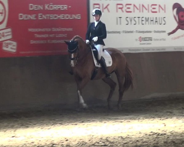 Reitturnier Jüchen-Waat 2018