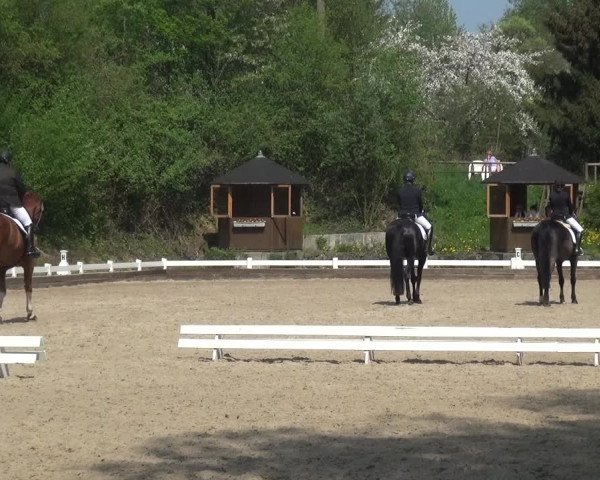 Reitturnier Mettmann - Reitanlage Löckenhoff 2018