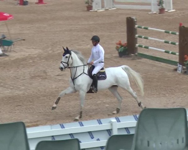 Reitturnier Kreuth 2018