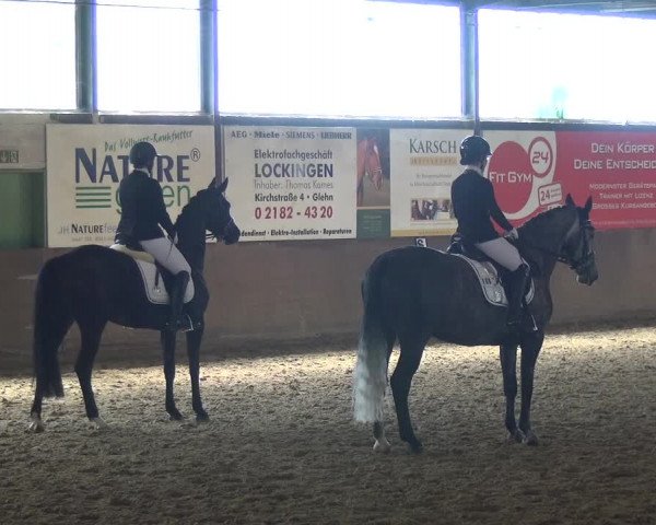 Reitturnier Jüchen-Waat 2018